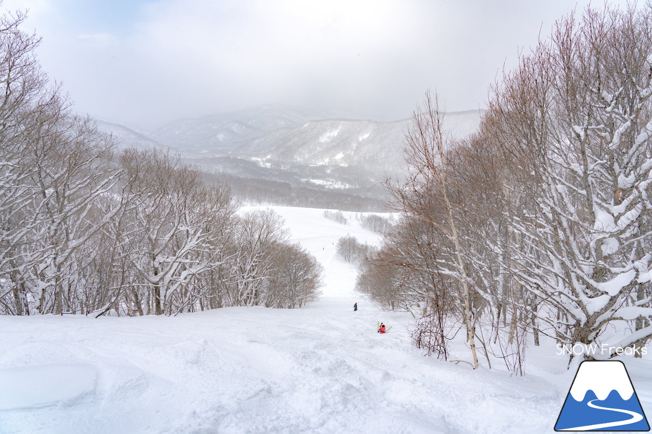 増毛町営暑寒別岳スキー場｜今冬の暑寒別岳は、まるでニセコのような豪雪地帯に！？パウダースノーたっぷりの穴場ゲレンデを滑走～！